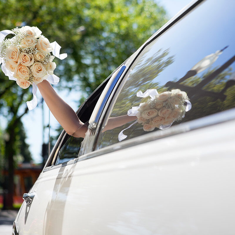 Photos pages d&#8217;accueil Schiltigheim 1