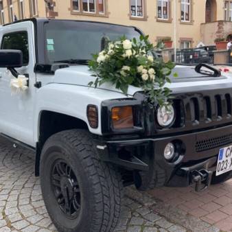 Location de limousine pour particuliers et professionnels autour de Strasbourg, Colmar et Mulhouse Strasbourg 4